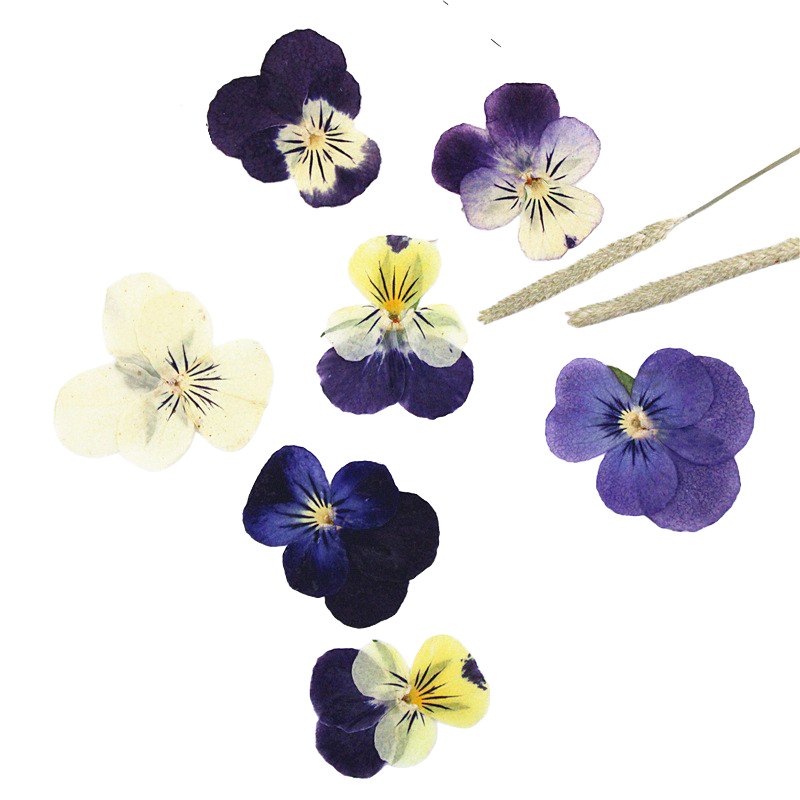 <a href="https://urrose.com/product-category/floral-gifts/dry-flowers/" style="color:#000;">Dry Flowers</a>